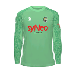 Fortuna Sittard Goalkeeper Kit kit
