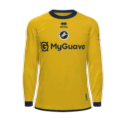 Millwall Goalkeeper Kit kit