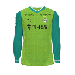 Daejeon Hana Citizen Goalkeeper Kit kit