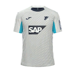TSG 1899 Hoffenheim Third Kit kit