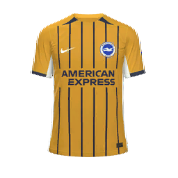 Brighton & Hove Albion Third Kit kit