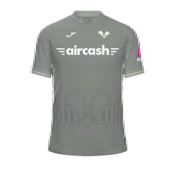 Hellas Verona Third Kit kit