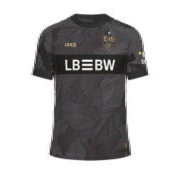 VfB Stuttgart Third Kit kit